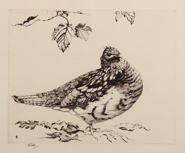 Emerson Tuttle (1890-1946): Emerson Tuttle (1890-1946) Watchful Grouse, 1923 Signed "H.E. Tuttle" lower left Drypoint, 8 by 9.5 inches Published in an edition of 100 Literature: Emerson Tuttle, "Fifty Prints," New Haven, C