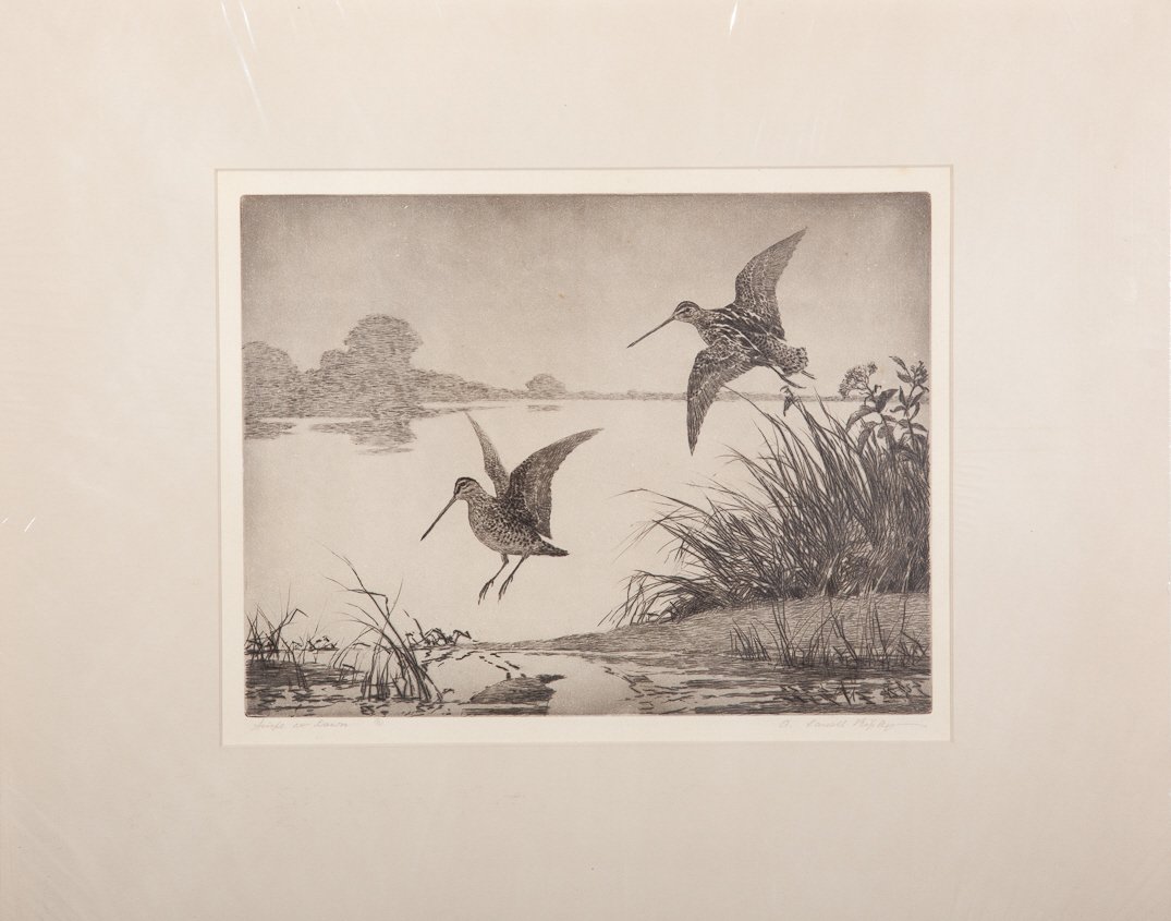 Aiden Lassell Ripley (1896-1969): Aiden Lassell Ripley (1896-1969) Snipe at Dawn Signed "A. Lassell Ripley" lower right Etching, 9 by 12 inches Inscribed "Snipe at Dawn ©" lower left Provenance: John E. Lennon Collection