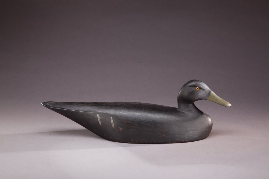 Black Duck: Black Duck Sam Denny (1874-1953) Clayton, NY, c. 1950 A rare, long-tailed, special-order St. Lawrence River decoy. Provenance: Private Collection, Westport, Connecticut