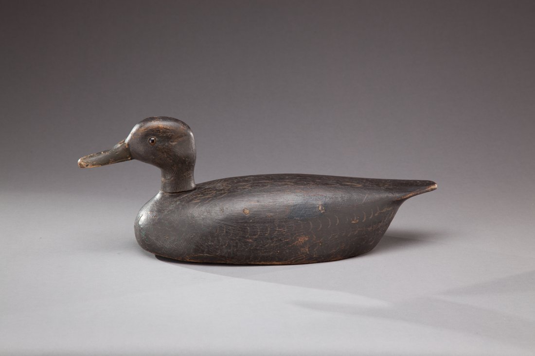 Black Duck: Black Duck William Ellis (1865-1963) Whitby, Ontario, Canada, c. 1920 A high-head black duck with glass eyes and deep incised bill carving. Provenance: John Collier Collection