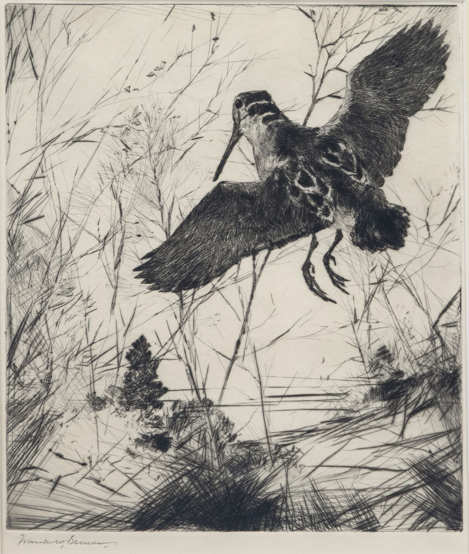Frank W. Benson (1862-1951), Woodcock: Frank W. Benson (1862-1951) Woodcock, 1930 signed "Frank W Benson" lower left drypoint, 11 3/4 by 9 1/2 in. Paff #292, edition of 150 Frederick Keppel & Co, New York label on back Provenance: Private