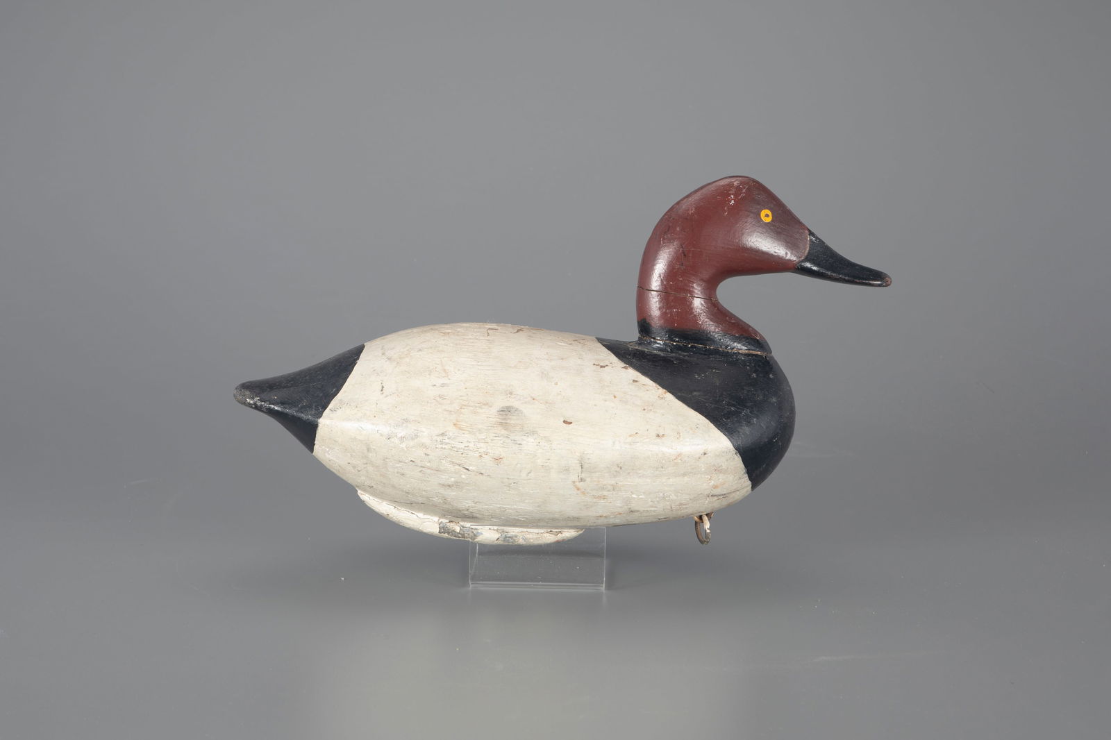 Canvasback Decoy attributed to Washington Barnes (1862-1915) MD (1 of 4)