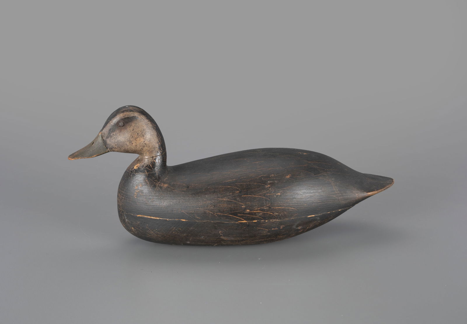 Black Duck Decoy by Harry M. Shourds (1890-1943) Ocean City, NJ (1 of 4)