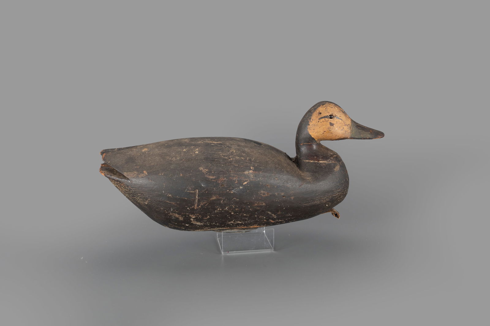 Black Duck Decoy, North Hampton County, Virginia (1 of 4)