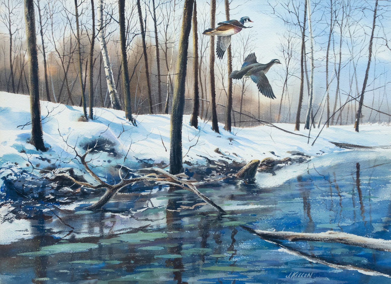 James H. Killen (b. 1934), Flying Wood Ducks (1 of 3)