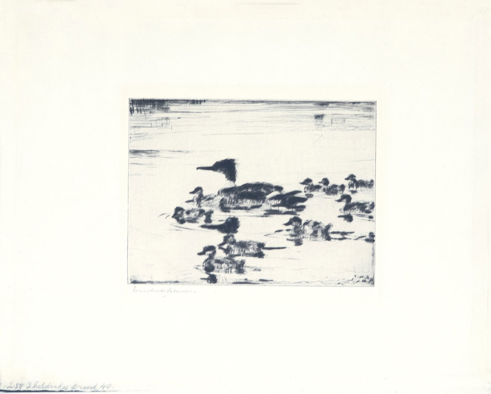 Frank W. Benson (1862-1951), The Sheldrake's Brood (1 of 1)