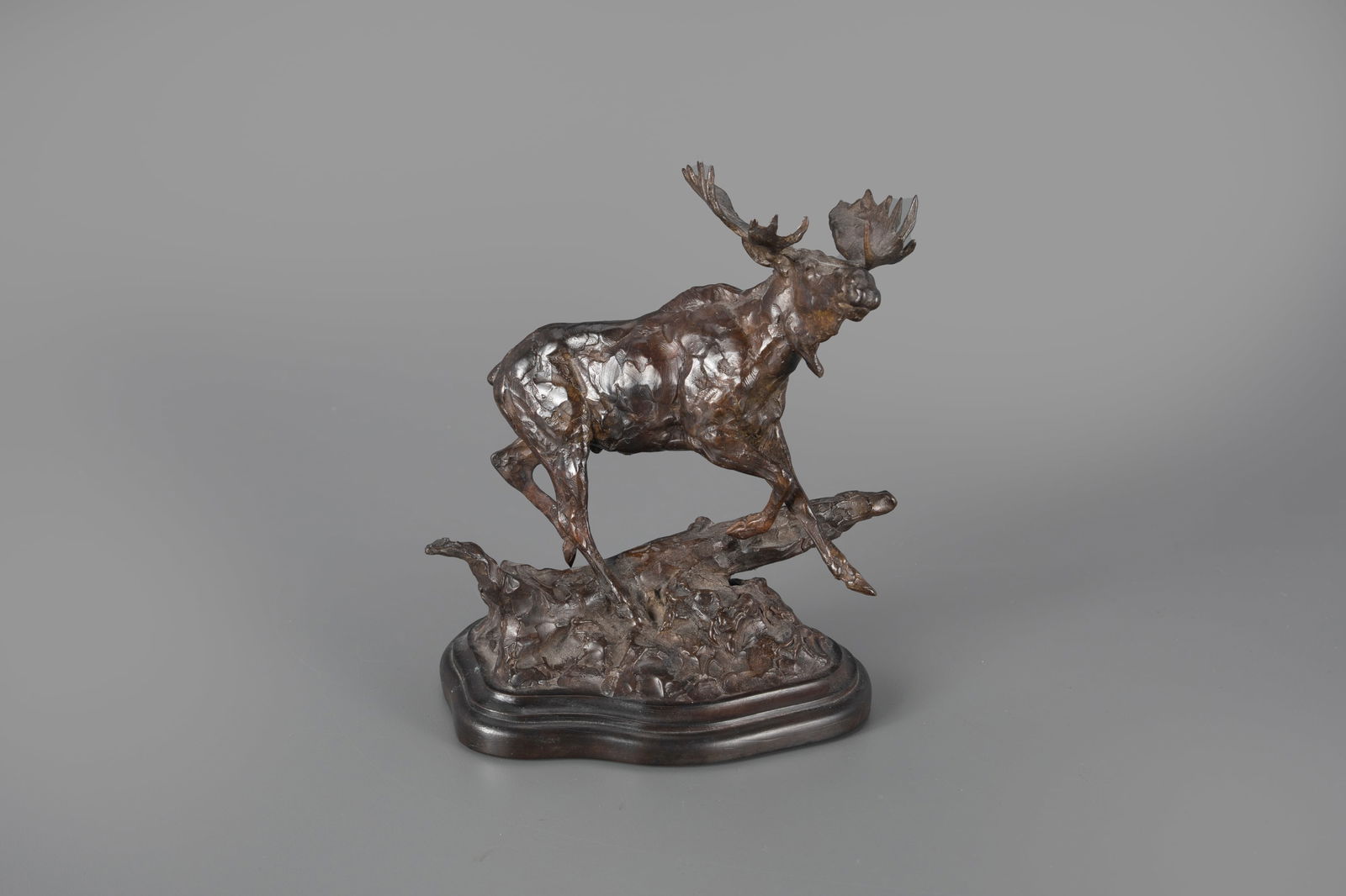 Tim Shinabarger (b. 1966), Moose (1 of 4)