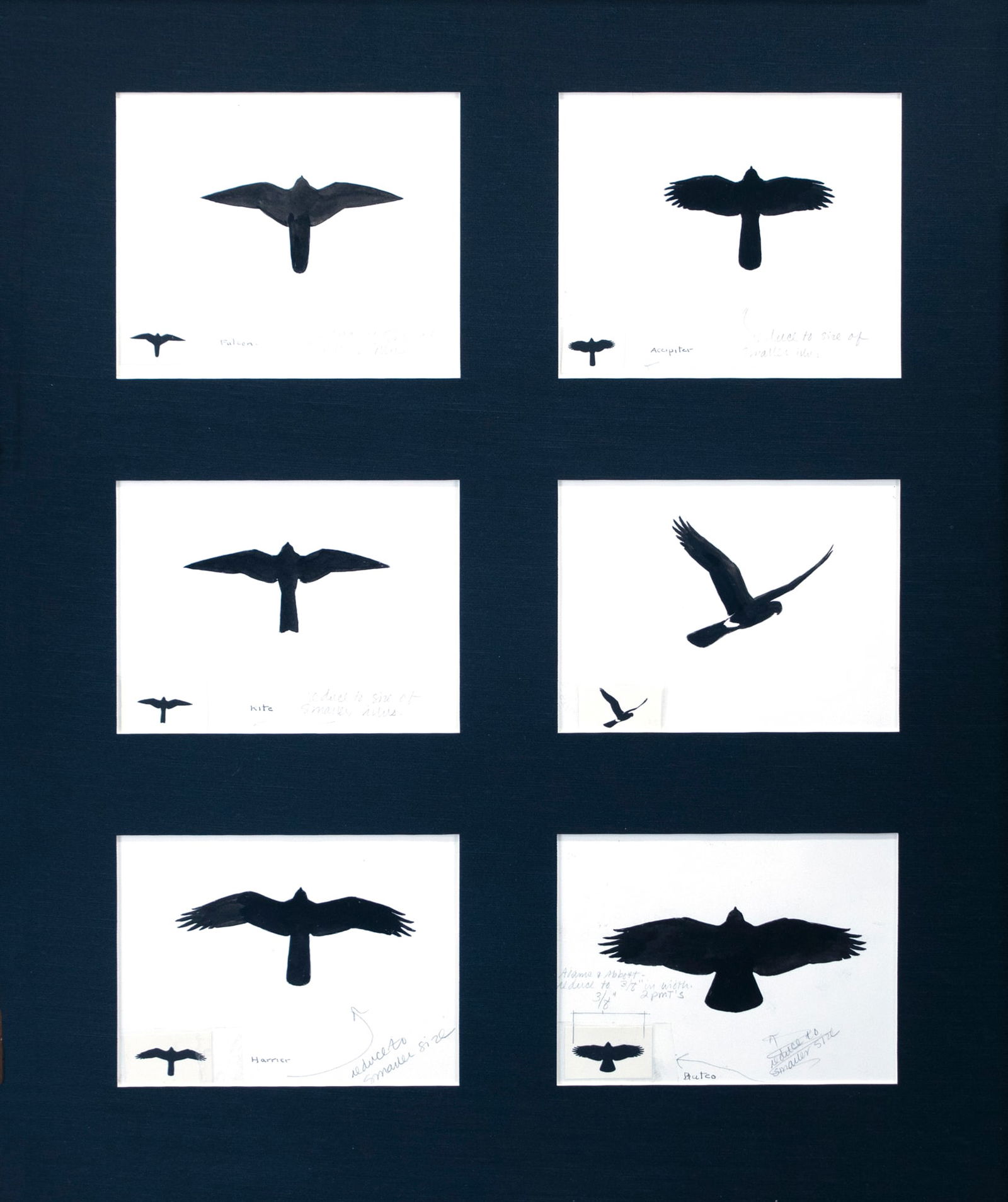 Roger Tory Peterson (1908-1996), Six Hawk Silhouettes (1 of 3)
