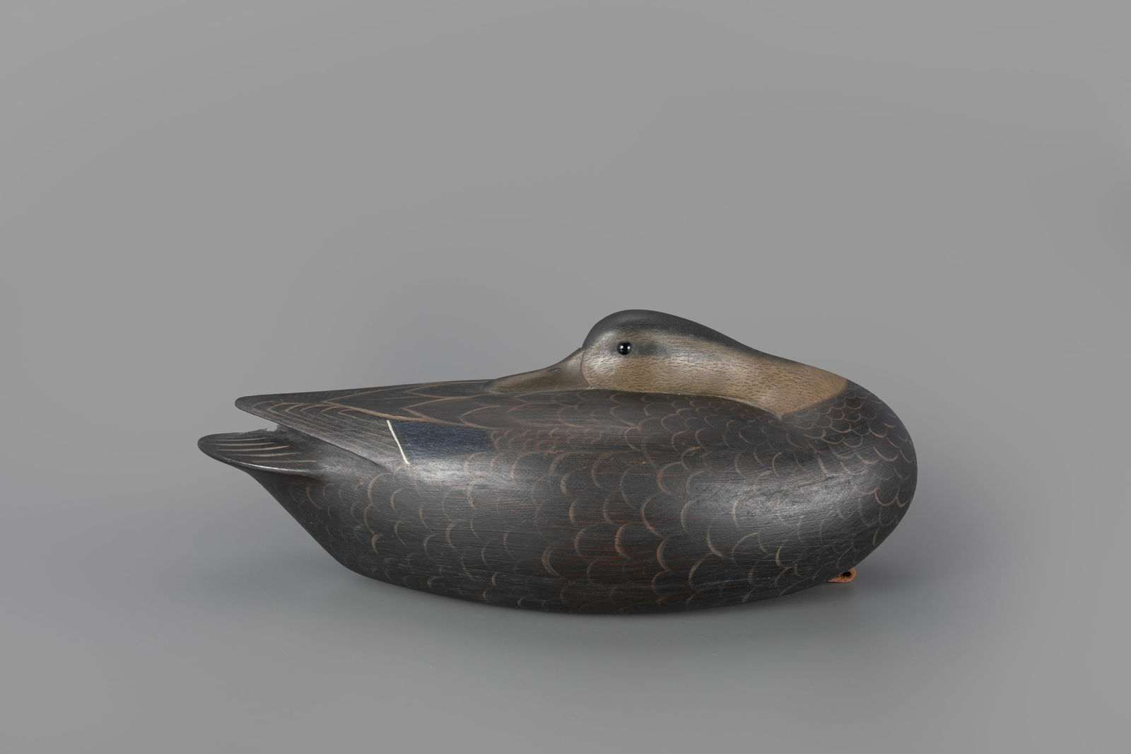 Sleeping Black Duck Decoy by Ian McNair (b. 1981) (1 of 4)