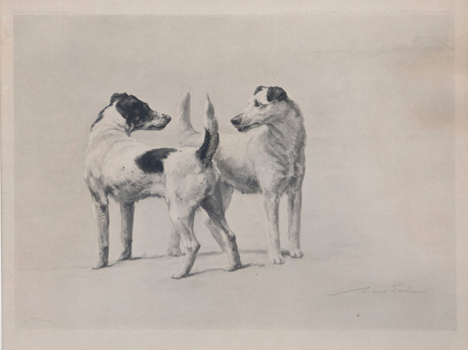 Maud Earl (1864-1943), Fox Terriers (1 of 3)