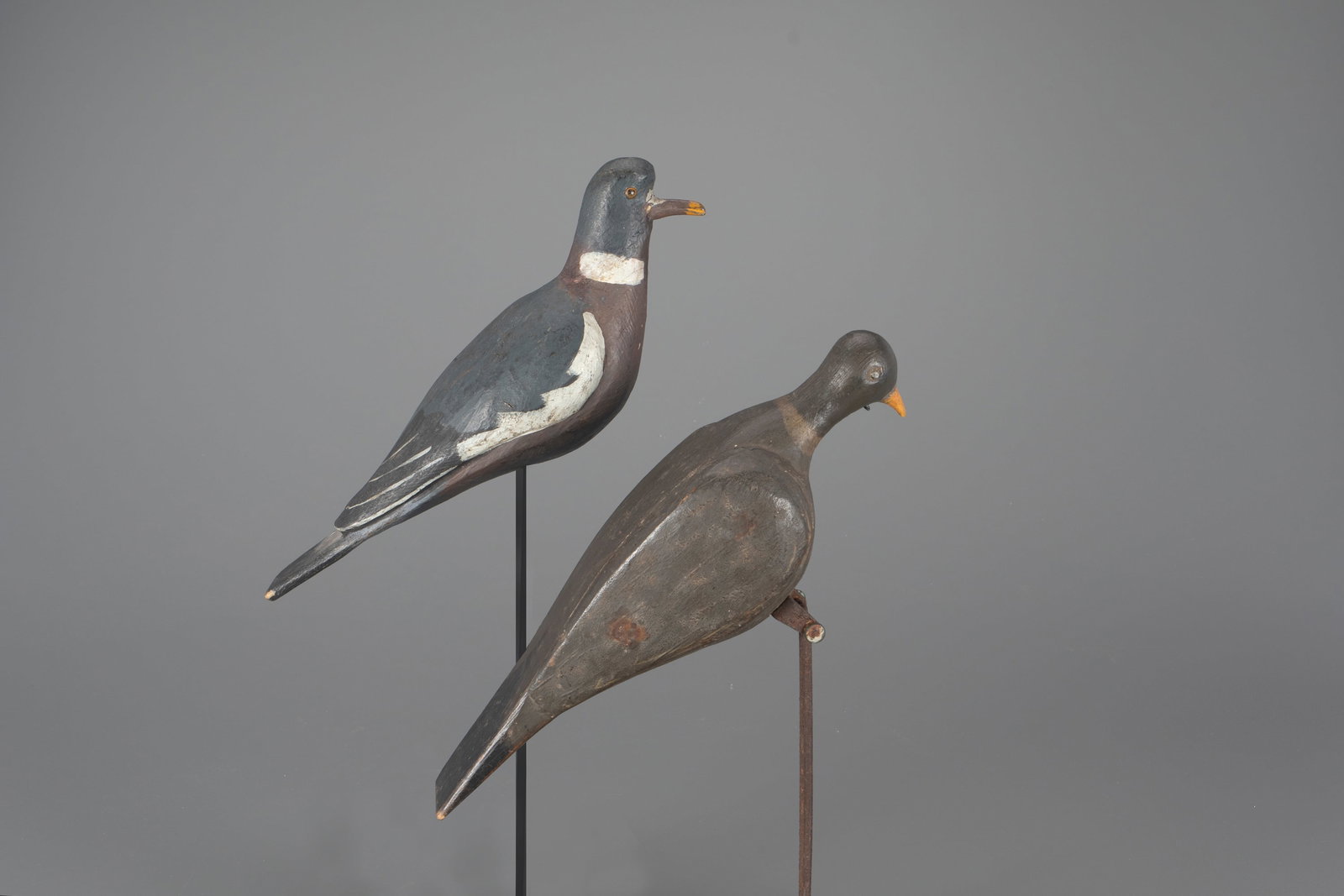 Two British Wood Pigeon (1 of 4)