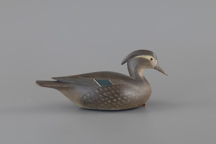 Rare Wood Duck Hen by Mark S. McNair (b. 1950)