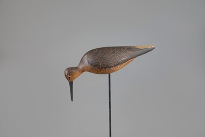 Feeding Dowitcher by Mark S. McNair (b. 1950)