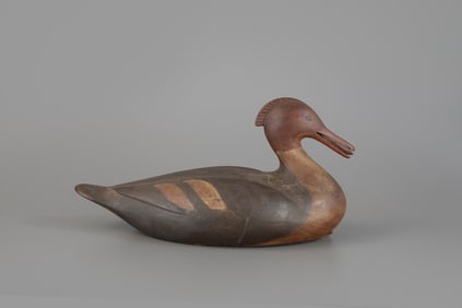 Merganser Hen with Mussel by Mark S. McNair (b. 1950)