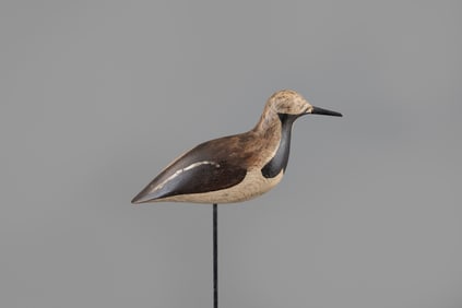 Hillman-McAnney Ruddy Turnstone by John McAnney (1866-1949)