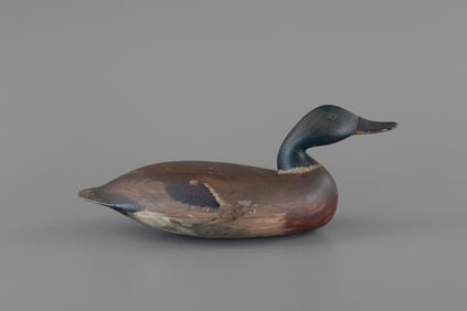 The Updike Calling Mallard by John Updike (1886-1955)