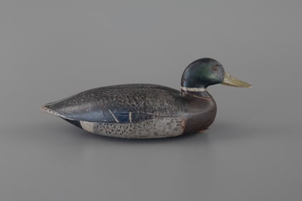 The Leeds Mallard Drake by Daniel Lake Leeds (1852-1922)