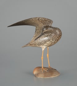 Extraordinary Wing-Up Yellowlegs on Shell by A. Elmer Crowell (1862-1952)