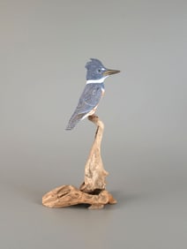 Life-Size Belted Kingfisher by Steve Weaver (b. 1950)