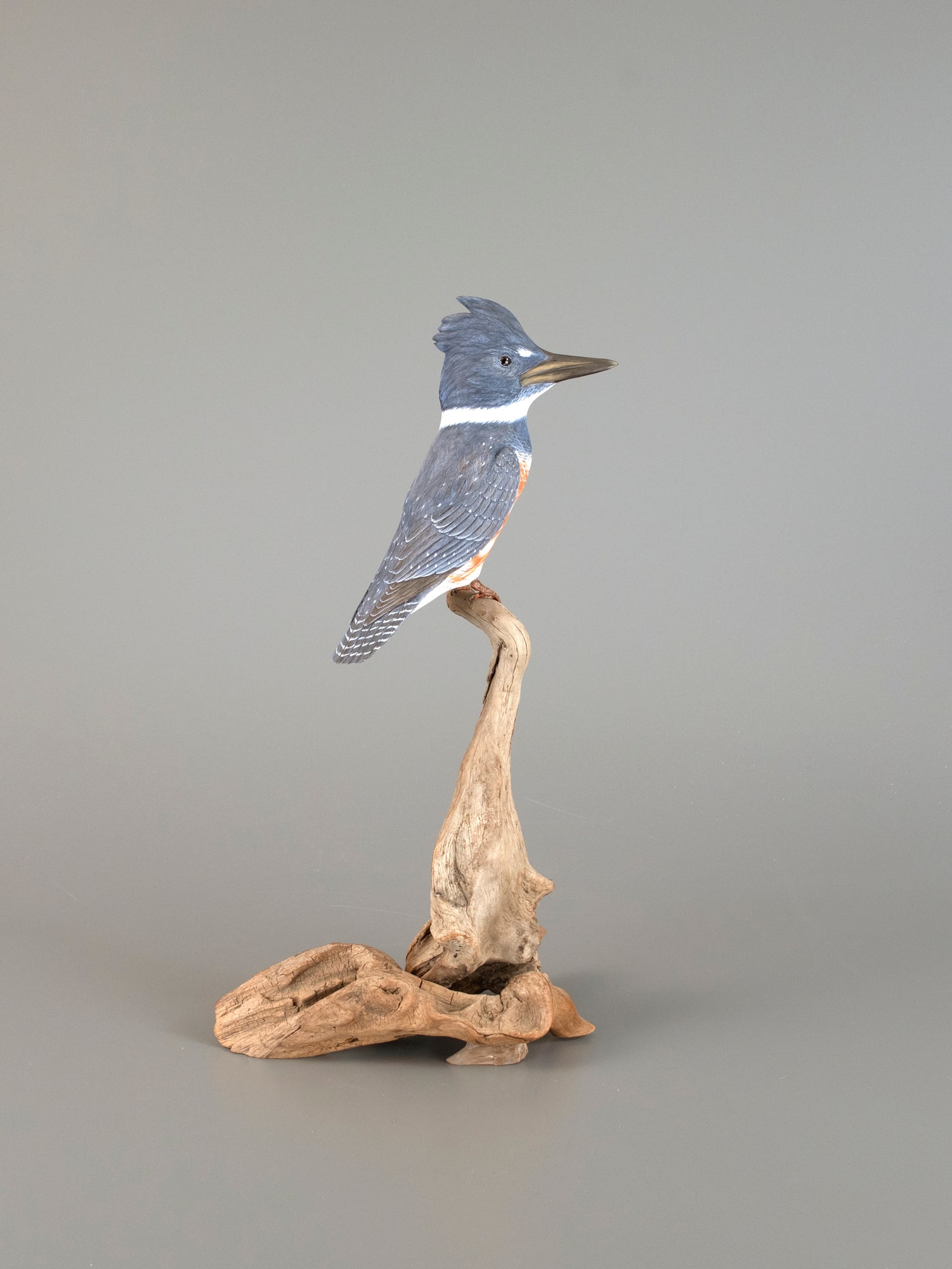 Life-Size Belted Kingfisher by Steve Weaver (b. 1950) (1 of 4)