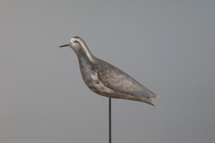 Running Golden Plover by Lothrop Turner Holmes (1824-1899)