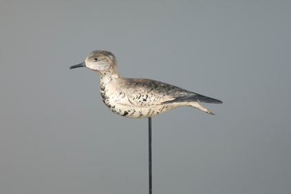 The Earnest-Muller Burr Plover by Elisha Burr (1839-1909)