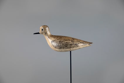 The O'Brien Nelson Plover by George Boyd (1873-1941)