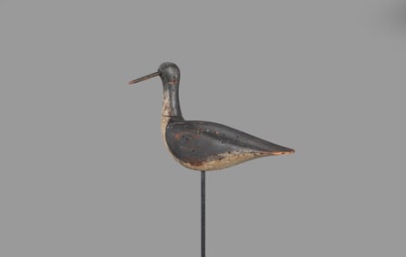 Turned-Head Yellowlegs by Dr. Lombard C. Jones Rig