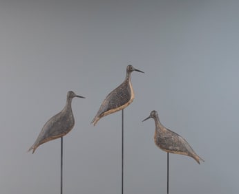 Trio of Yellowlegs Silhouettes