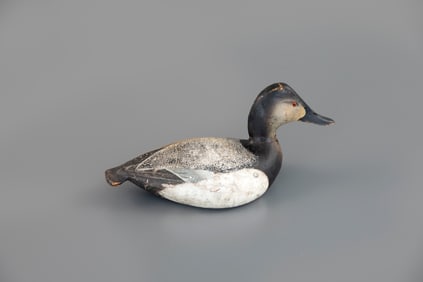 Martin-Rig Canvasback Hen by The Ward Brothers