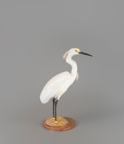 The Ward Egret by The Ward Brothers