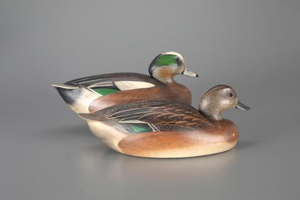 Rare Hollow Wigeon Pair by The Ward Brothers