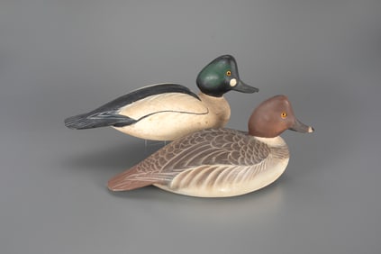 Goldeneye Pair by The Ward Brothers