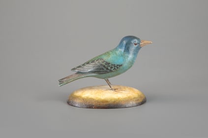 Indigo Bunting by Frank S. Finney (b. 1947)