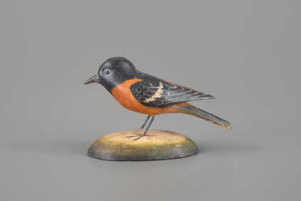 Baltimore Oriole by Frank S. Finney (b. 1947)