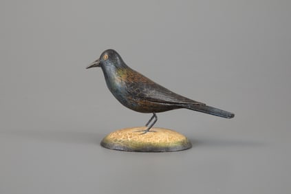 Rare Common Grackle by Frank S. Finney (b. 1947)