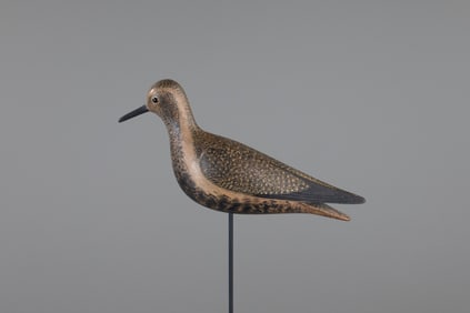 Golden Plover by Mark S. McNair (b. 1950)