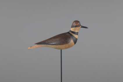 Killdeer by Mark S. McNair (b. 1950)