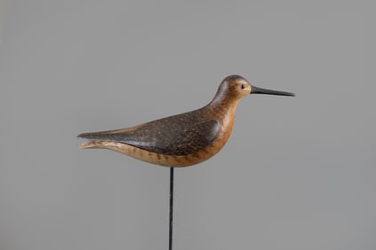 Dowitcher by Mark S. McNair (b. 1950)