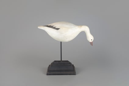Rare Standing Snow Goose by Cameron T. McIntyre (b. 1968)