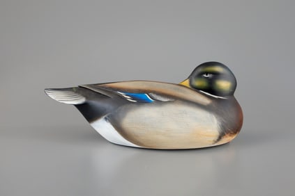Oversize Sleeping Mallard by Sean Sutton (b. 1967)