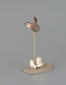 Decorative Wren in Marsh by Jack Franco