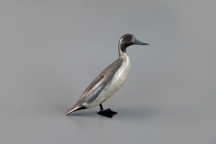 Standing Pintail Drake by Charles S. Schoenheider Sr. (1854-1924)