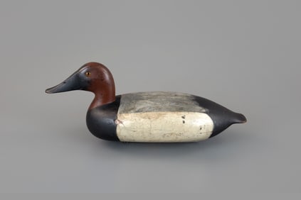Rare Canvasback by Charles S. Schoenheider Sr. (1854-1944)
