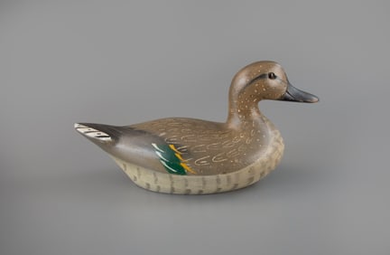 Exceptional Green-Winged Teal by Charles Bergman (1856-1946)