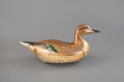 Pintail Hen by Charles Bergman (1856-1946)