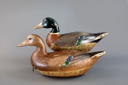 Mallard Pair by Charles Bergman (1856-1946)
