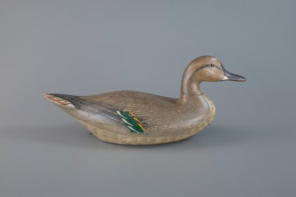 Pintail Hen by Charles Bergman (1856-1946)