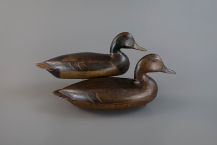 Early Mallard Pair by Charles H. Perdew (1874-1963)