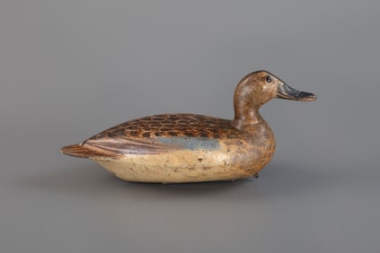Blue-Winged Teal by Robert Elliston (1847-1925)